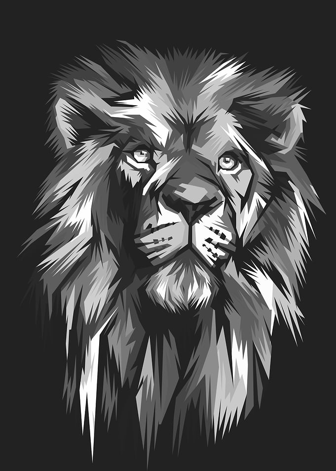 lion