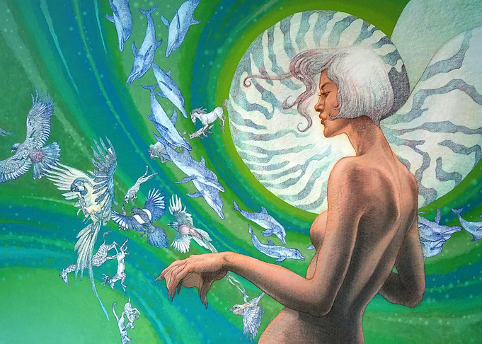 nautilus shellfish