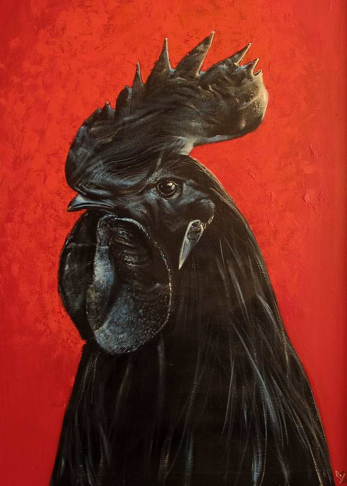 PORTRAIT OF A BLACK AYAM