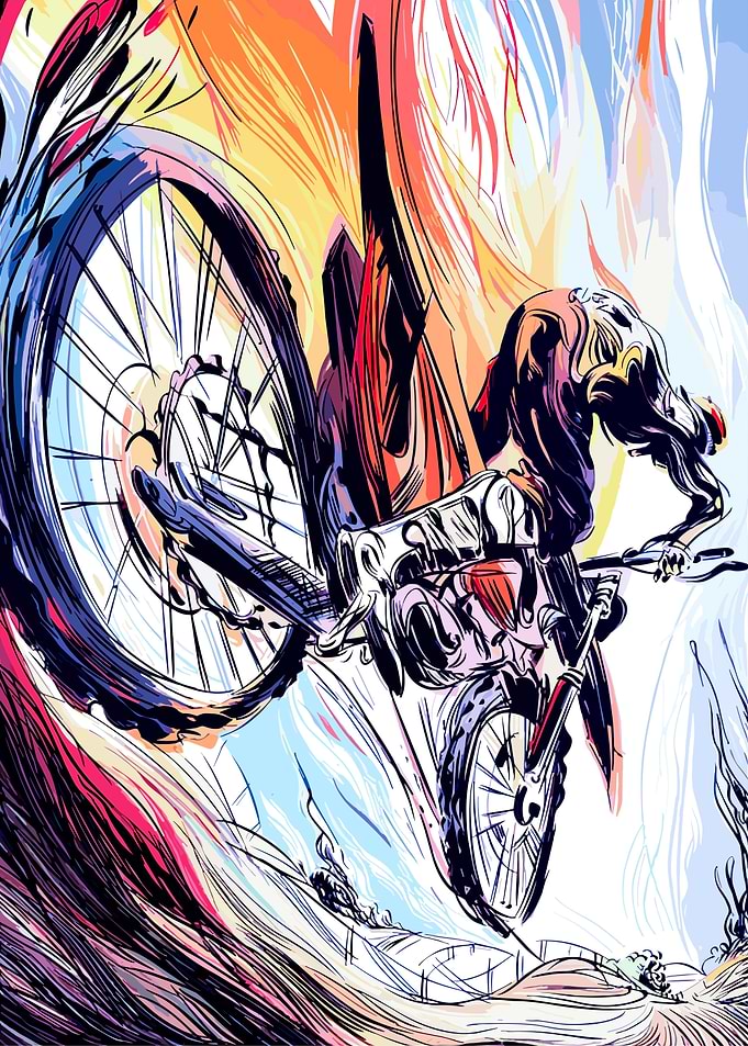 Downhill Domination