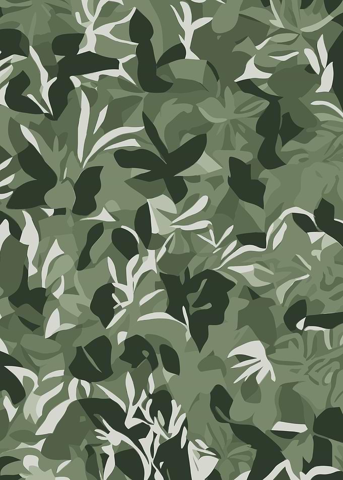 Serene Vector Jungle