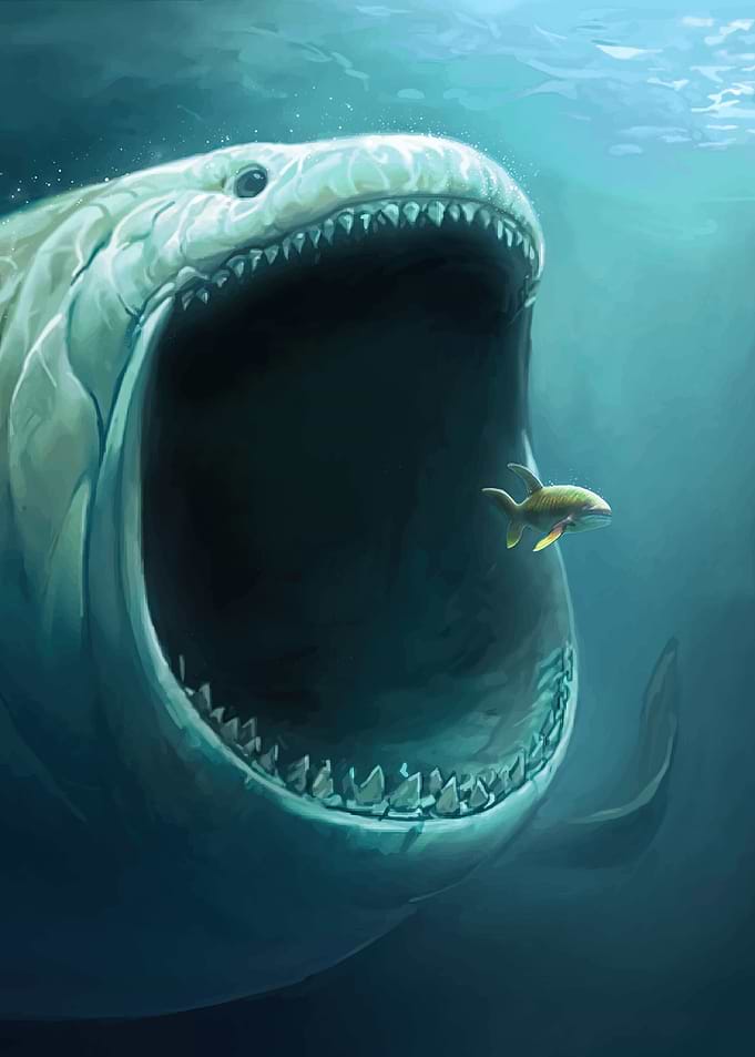 Monster Hunter Ocean