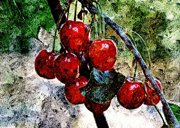 Fruit 05