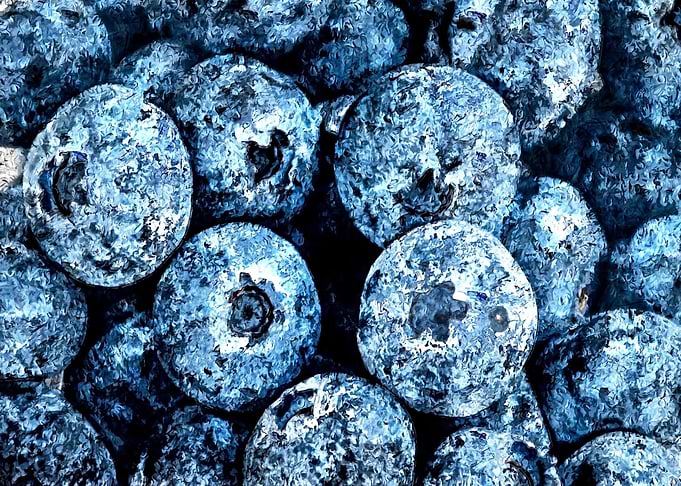 Fruit 07