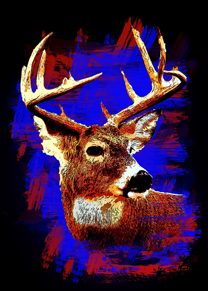 Animal Deer 2