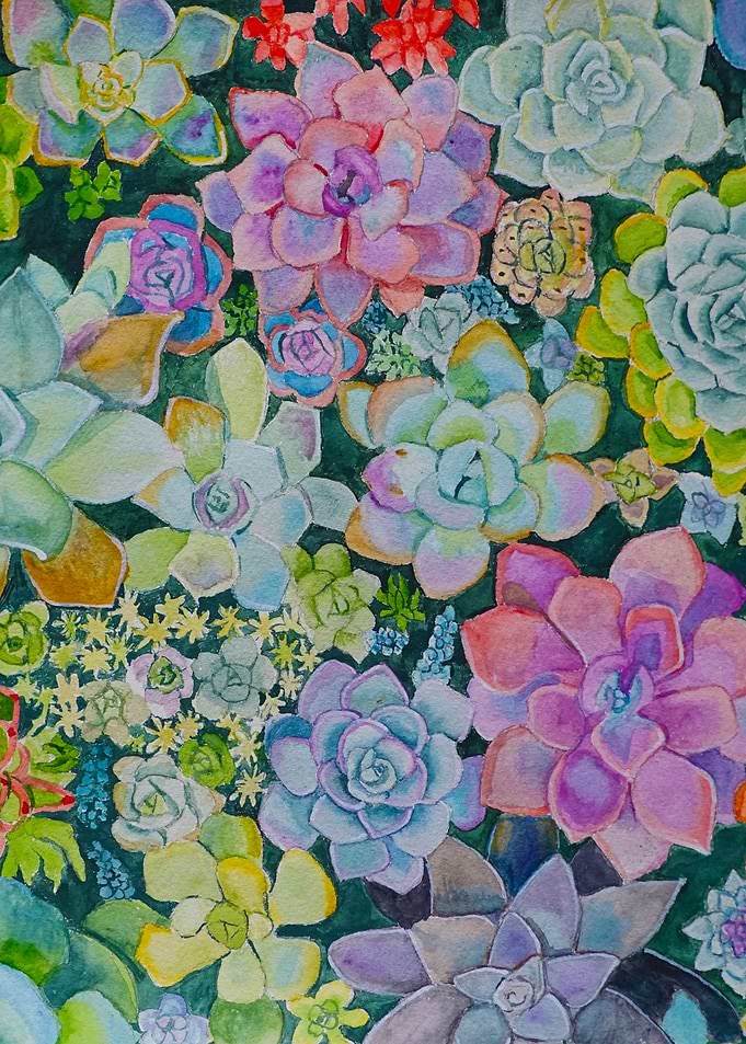 Cactus Garden