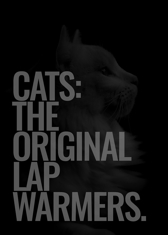 Quotes about Cat