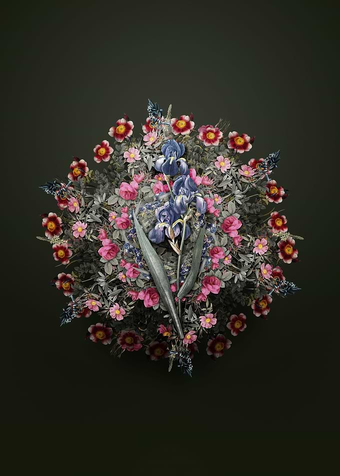 Dalmatian Iris Wreath