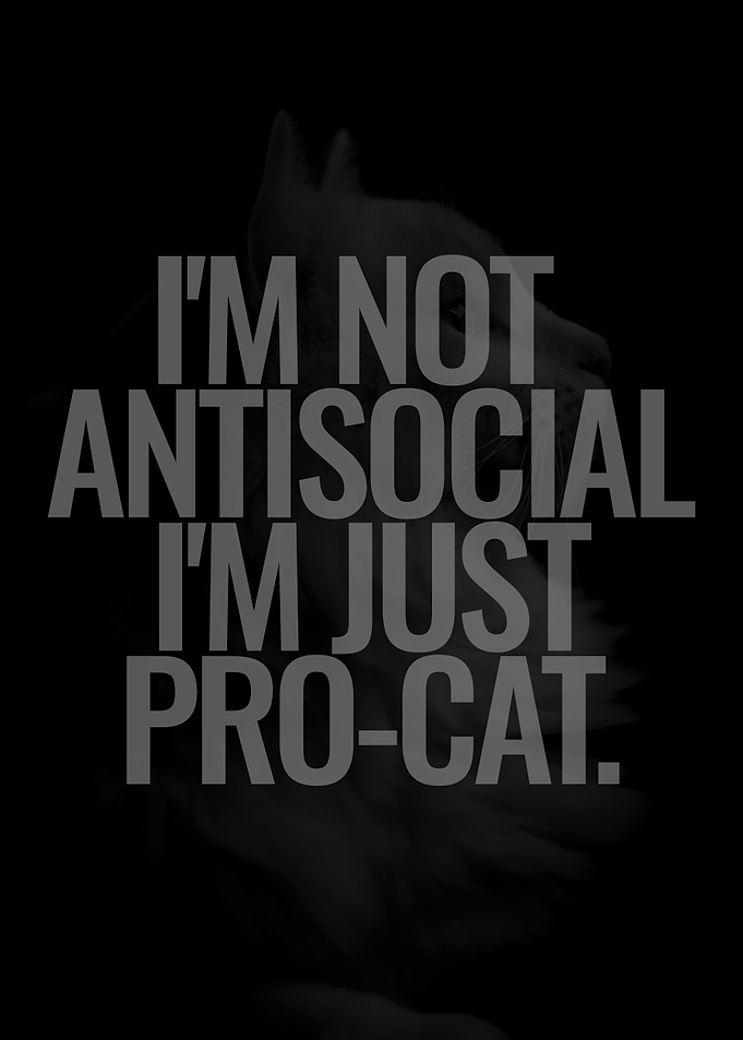 Pro Cat