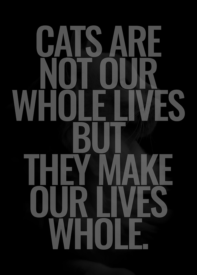 Cats