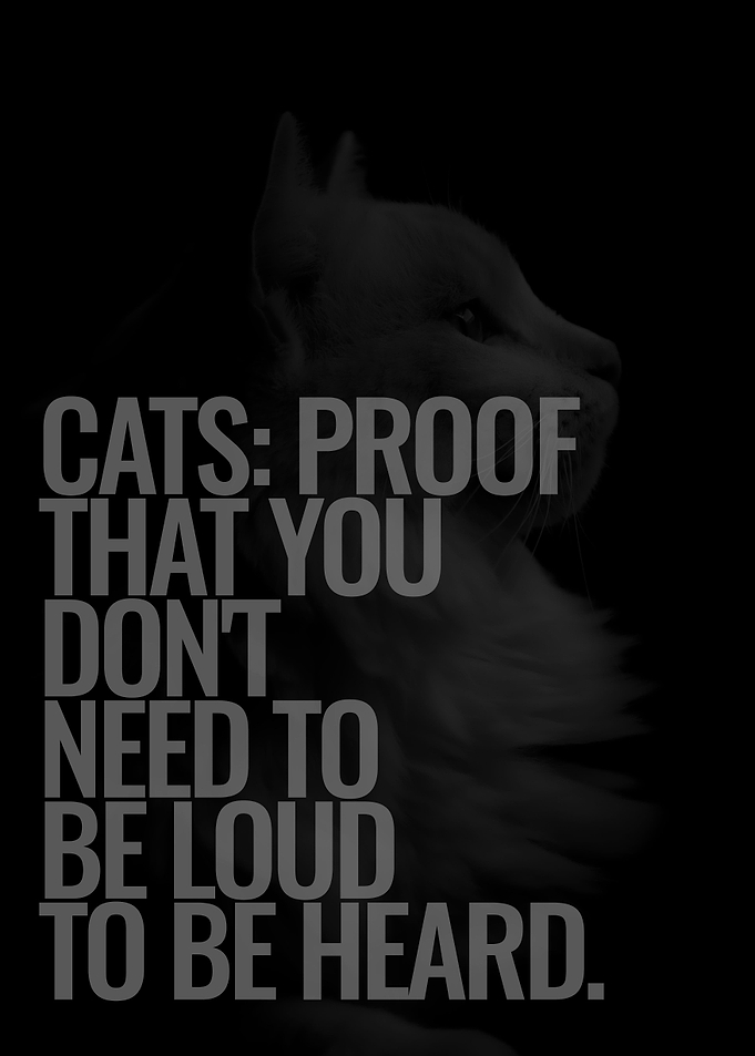 Cats