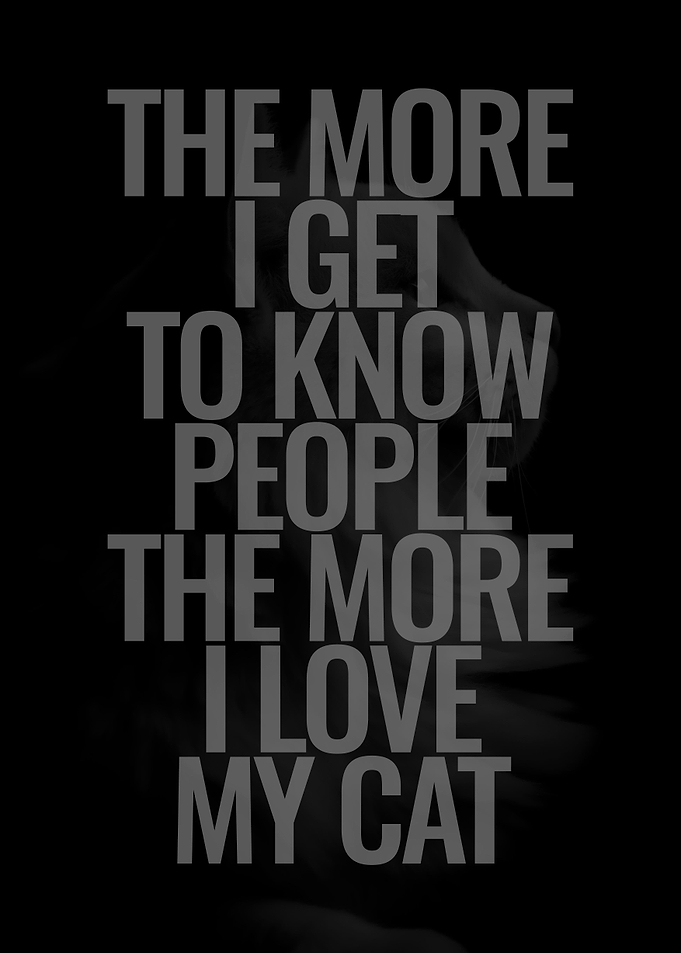 I Love My Cat