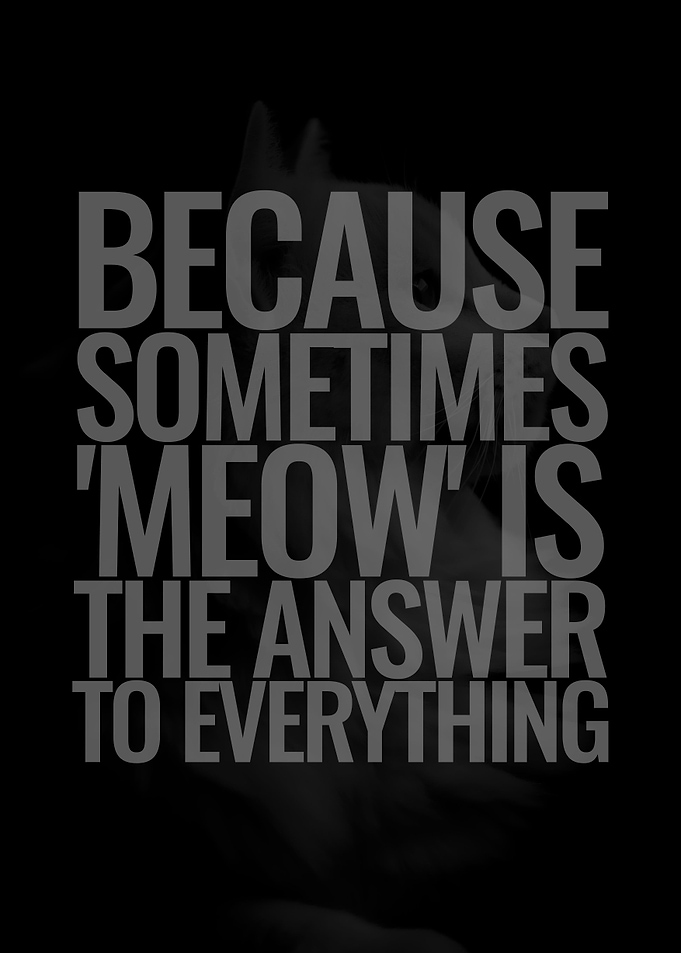 Meow is Everything