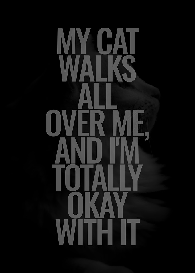 My cat walk all over me