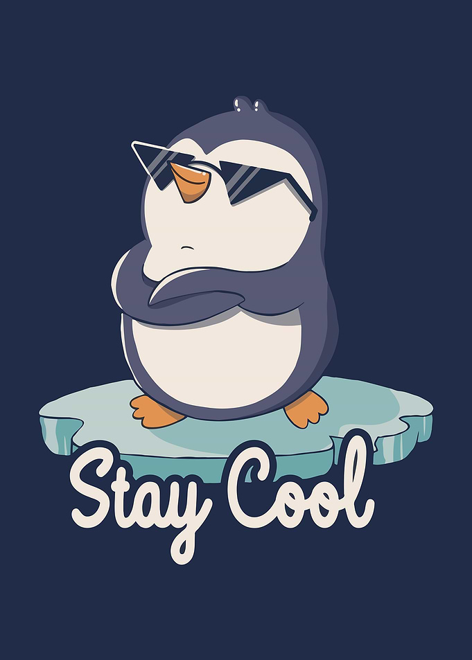 Funny Stay Cool