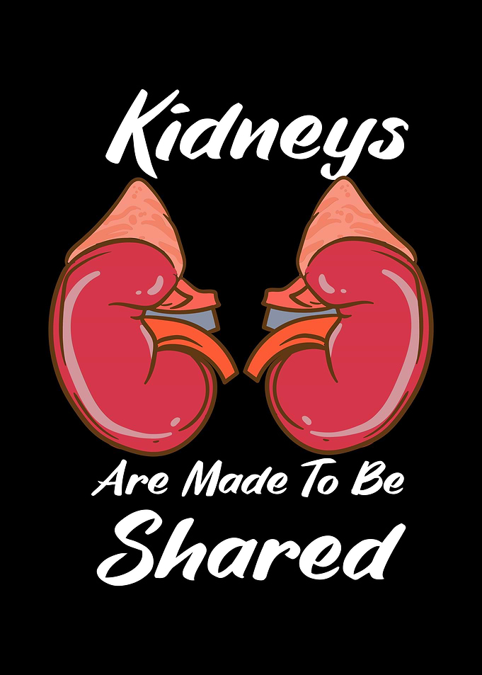 Kidneys Are Made To Be