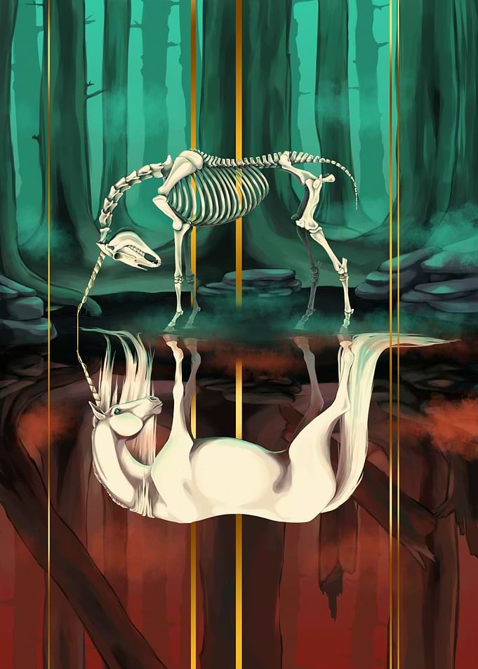 Reflected Life