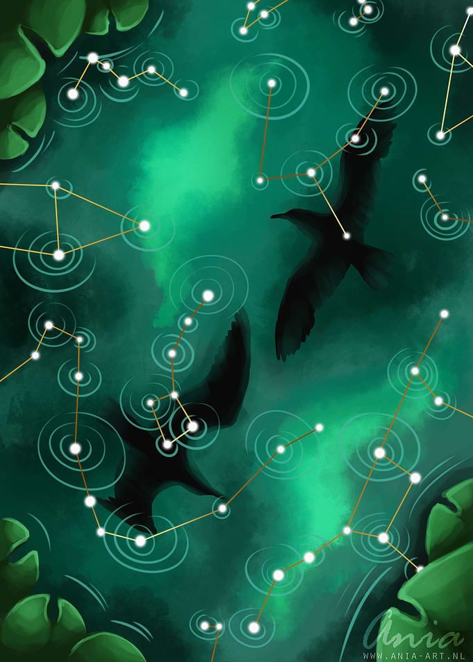 Ripples