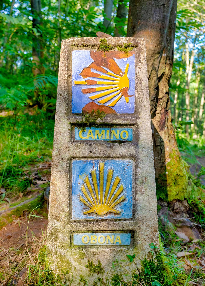 Camino de Santiago