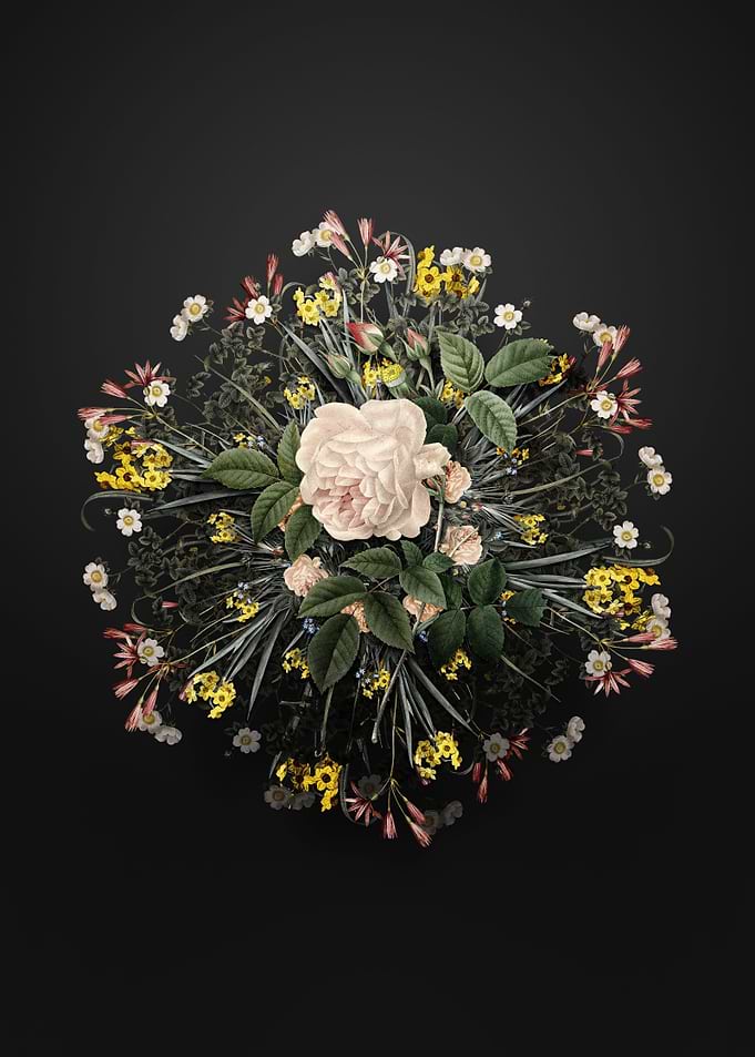 Rosa Indica Flower Wreath