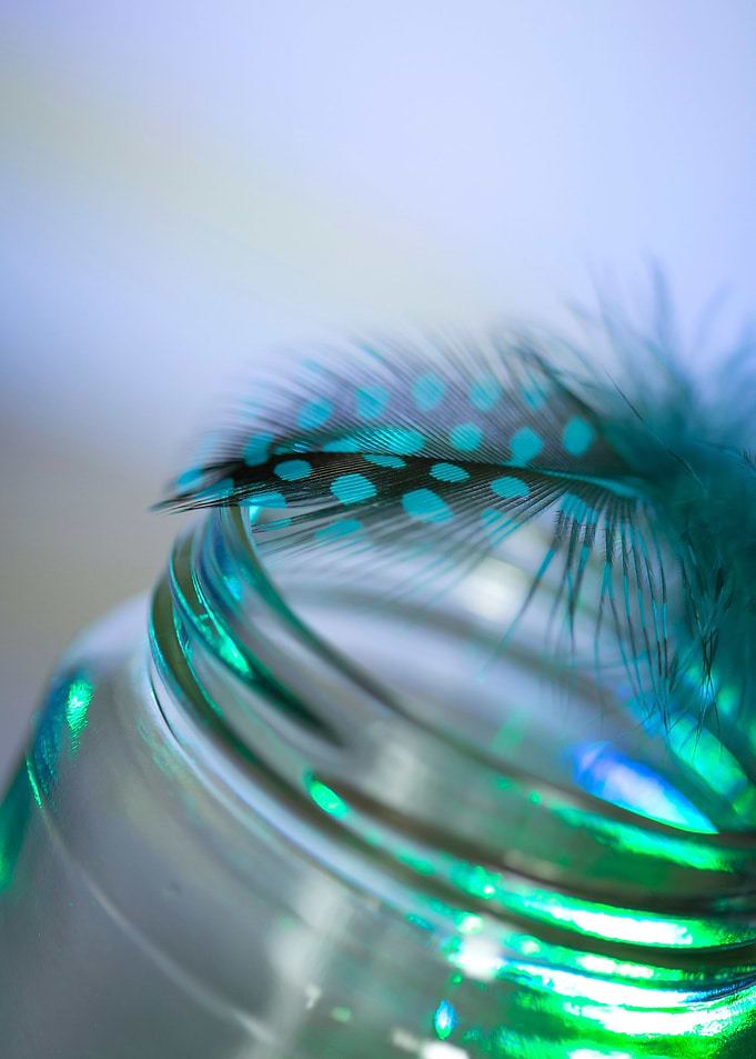 Glass and feather