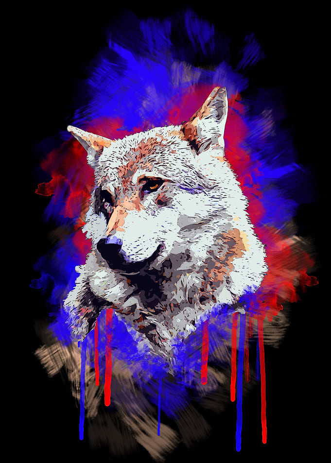 Animal Wolf 3