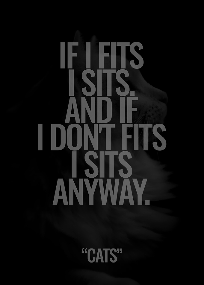 Cats Quote