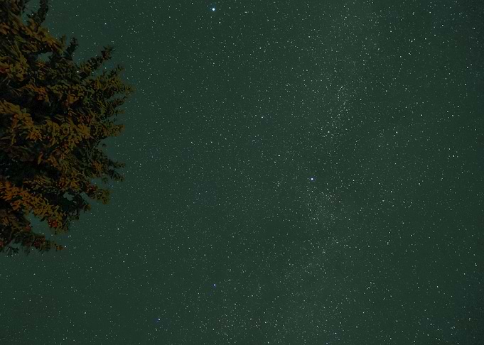 Milky way passing by tree