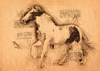 Horse 01