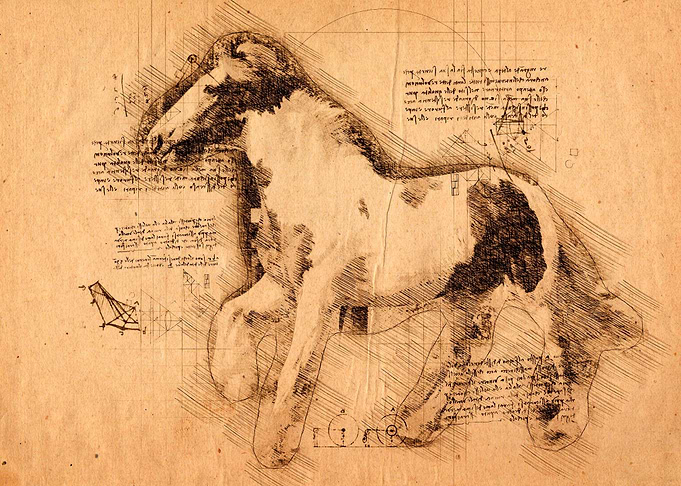Horse 01