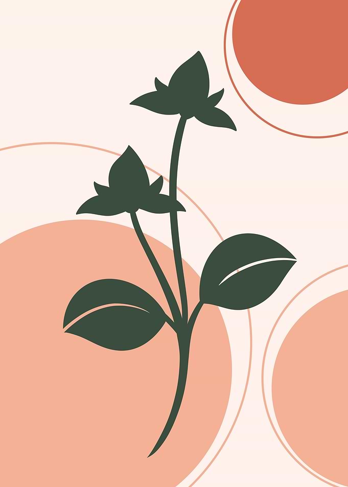 Flower V3