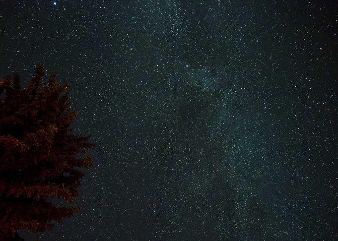 Stars above the campfire