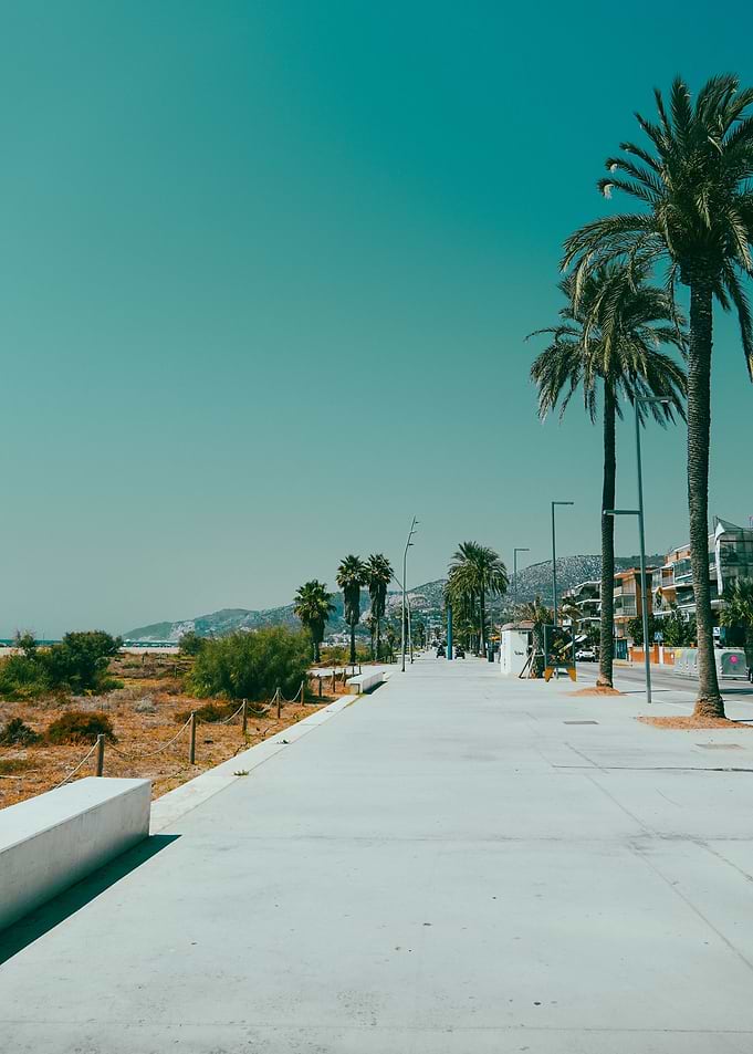Paradise