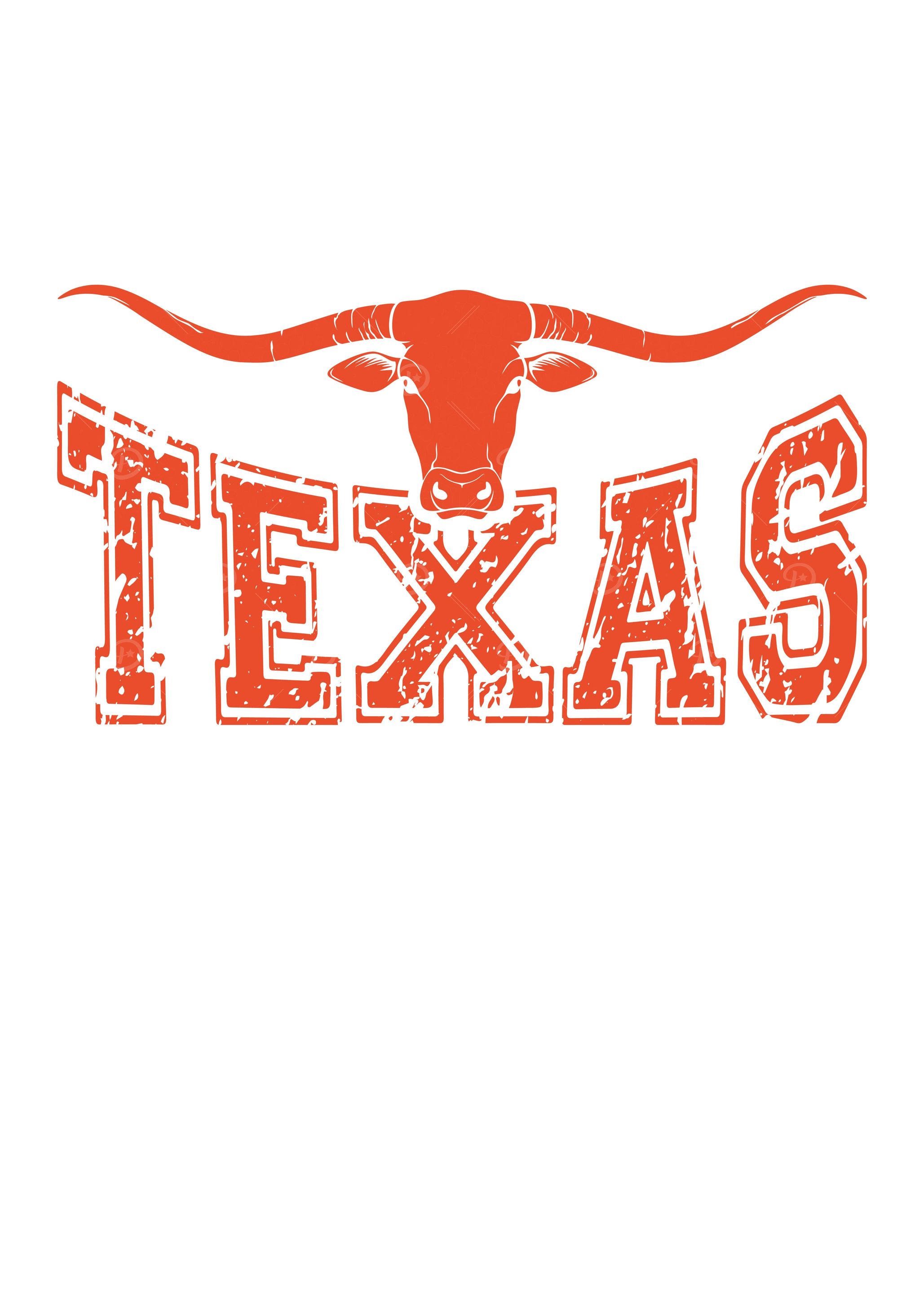 Texas cattle longhorn whit