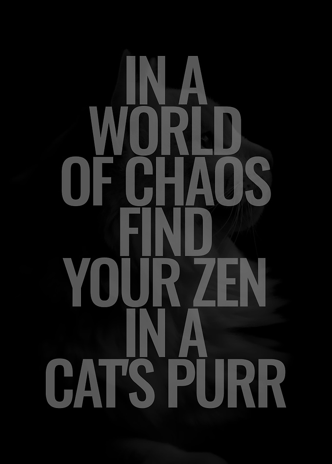 Cats