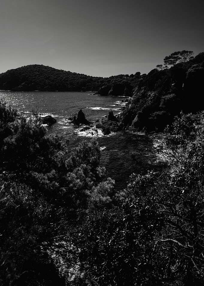 Coastal beaty in B and W