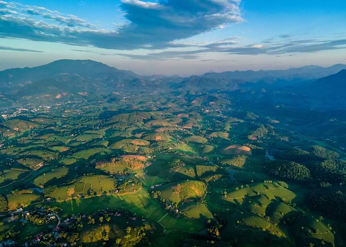 Aerial view of tea farms