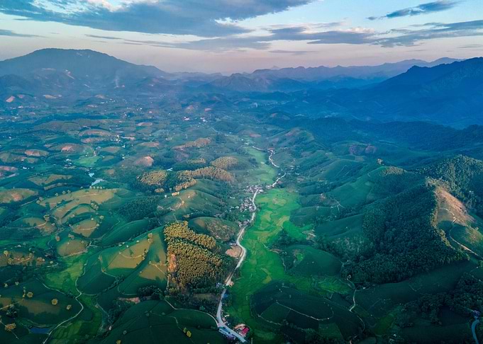 Aerial view of tea hills