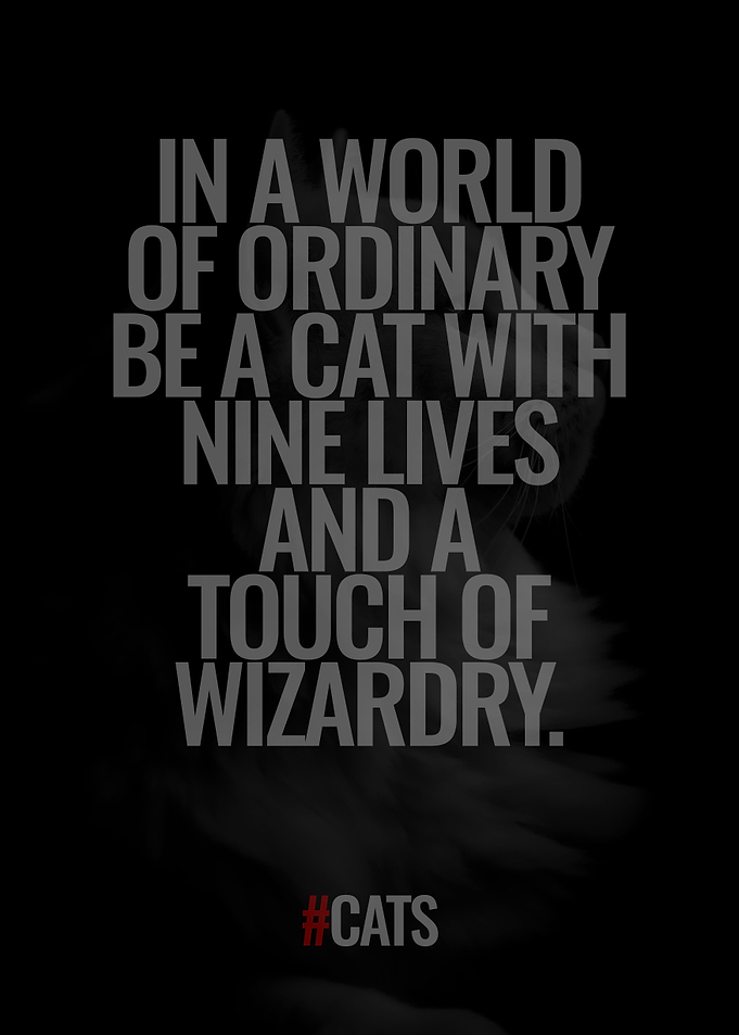 Be a Cat