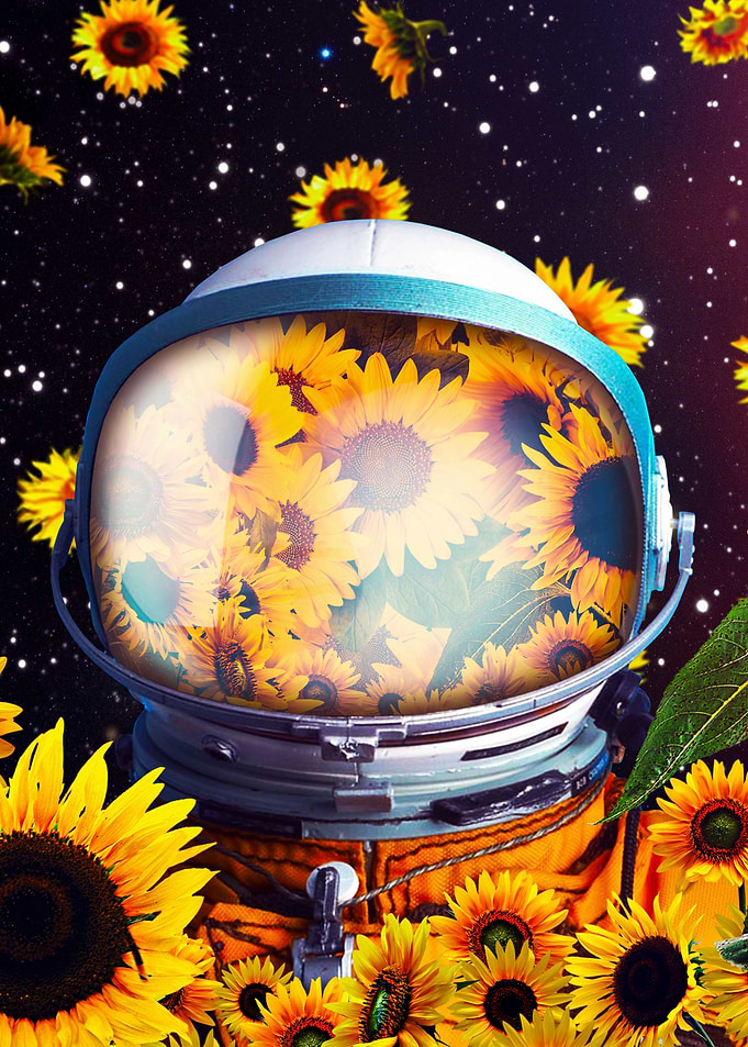 Solar Bloom