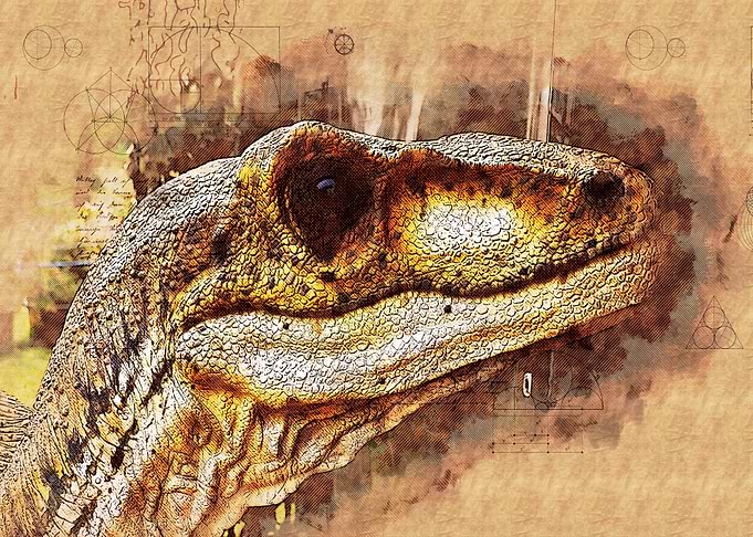 Dinosaur 04