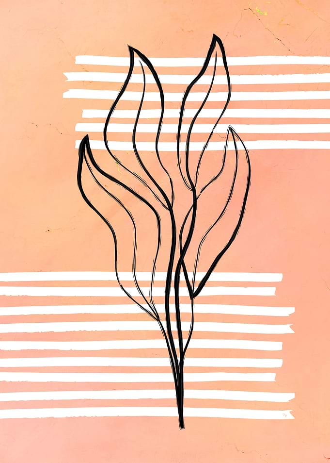 Orange modern plant
