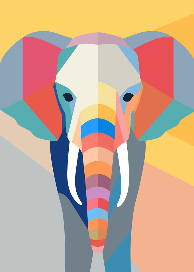 Animal Minimalist Flat