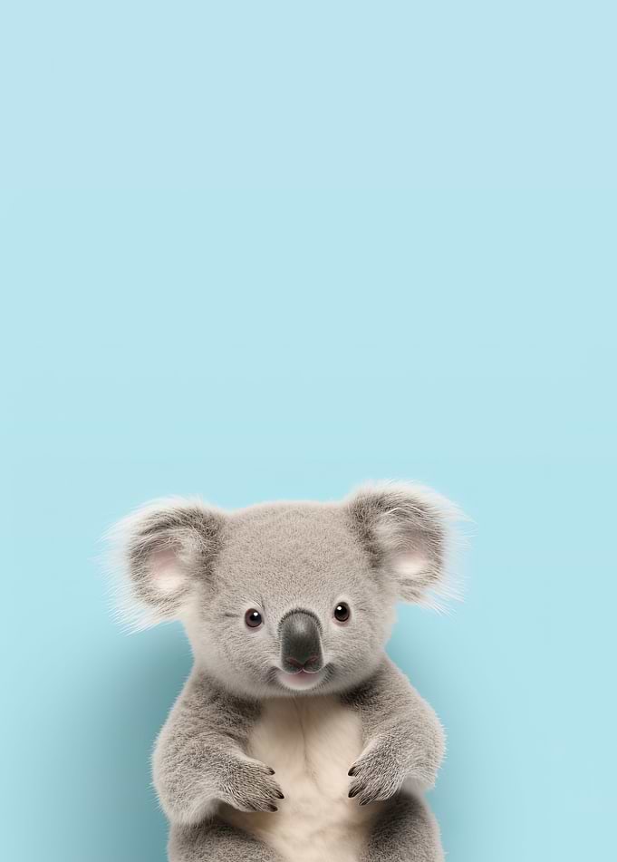 Koala Portrait