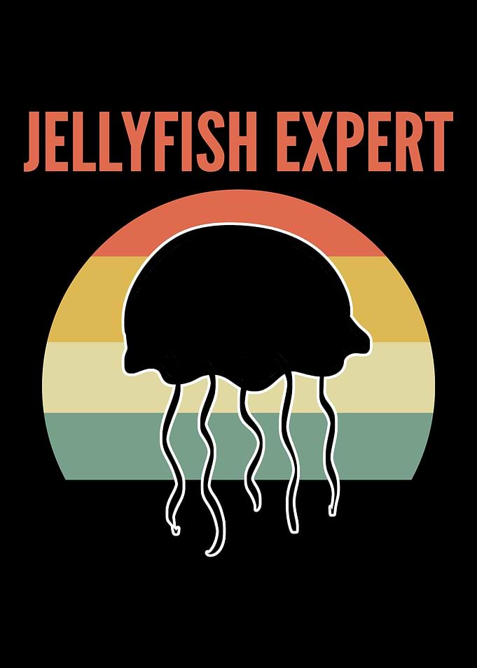 Jellyfish Expert Environme