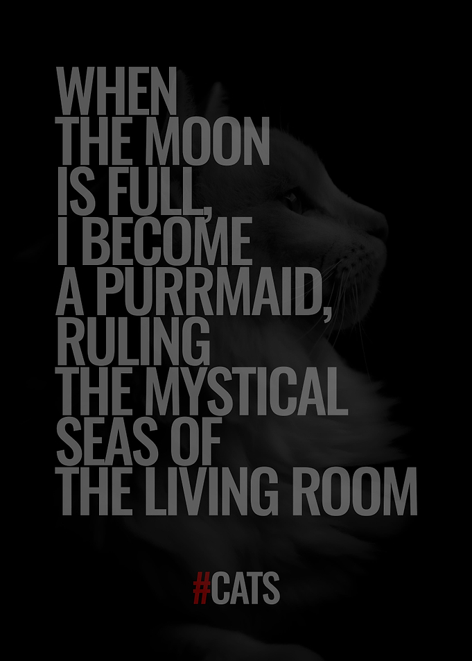 Quote about Cats