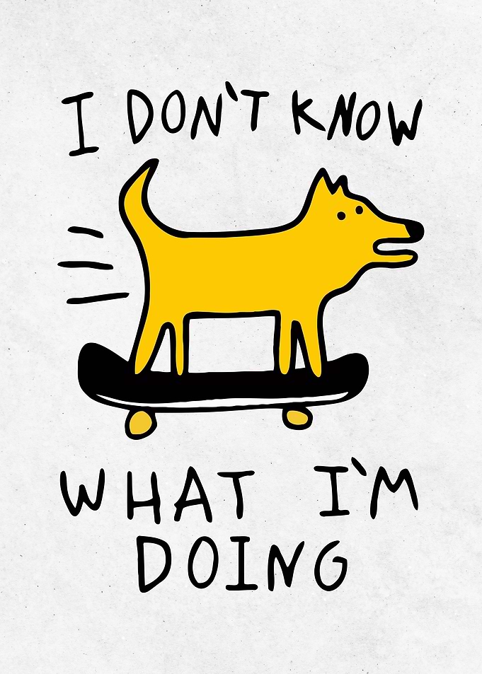Funny Animal