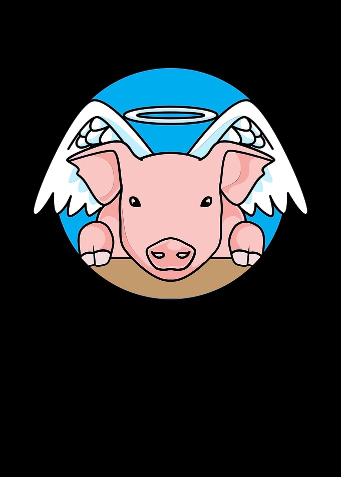 Angel Winged Piglet