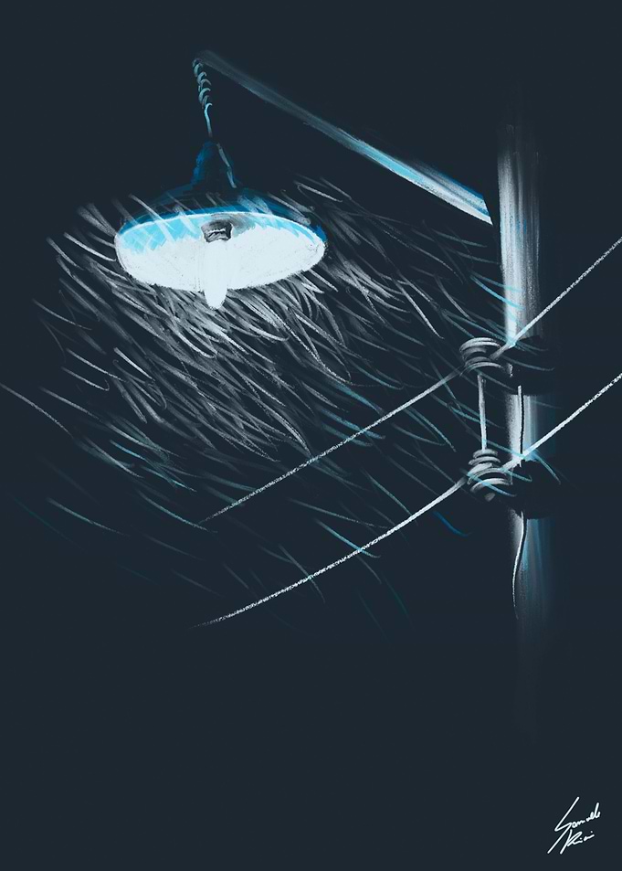 Rainy night