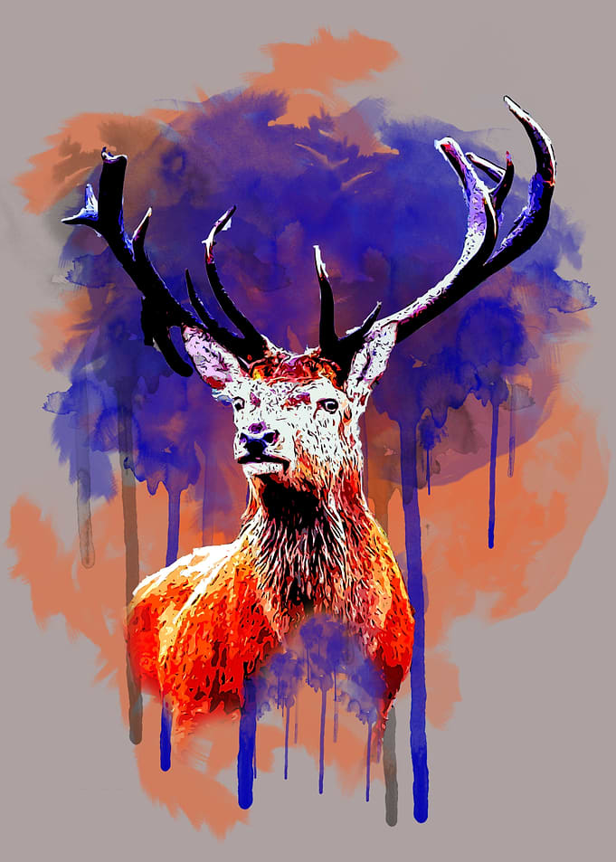 Animal Deer
